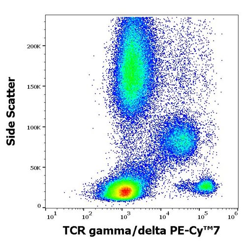 Anti-Hu TCR gamma/delta (Clone: 11F2) PE Cy7 Conjugated